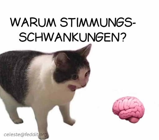*Katzen leeres Gehirn Format*

Warum Stimmungs-
schwankungen?