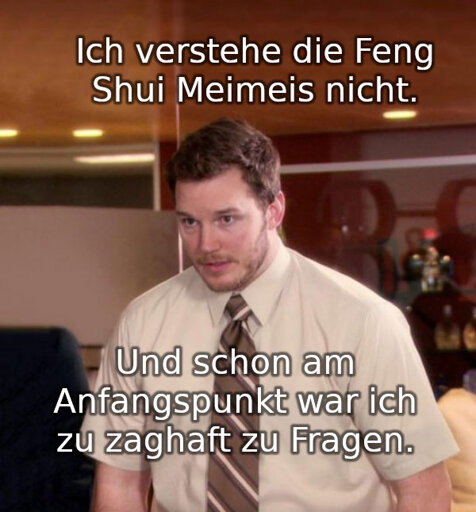 "Ich verstehe die Feng Shui Meimeis nicht." "Und schon am Anfangspunkt war ich zu zaghaft zu Fragen."