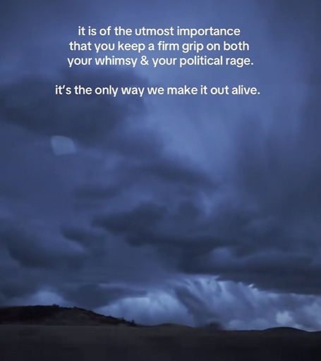 it is of the utmost importance that you keep a firm grip on both your whimsy & your political rage.
it's the only way we make it out alive.