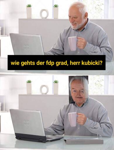 Versteck-die-Schmerzen-Kubicki "wie gehts der fdp grad?"