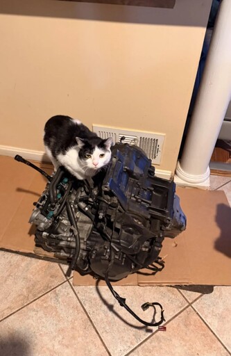 Mechanic