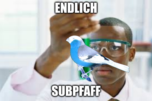 Meme von dem Forscher, der eine Ampulle mit grüner Flüssigkeit enthält. Darüber ist ein farbinvertierer Vogel zu sehen und der Meme-Text "Endlich, Subpfaff".