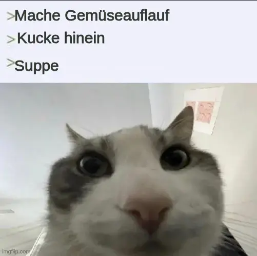[„Katze-kuckt-hinein“-Meme] Mache einen Gemüseauflauf; Kucke hinein; Suppe