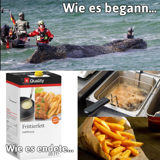 Skandal! Wal Timmy/Hope wird zu Pommesfett verarbeitet!