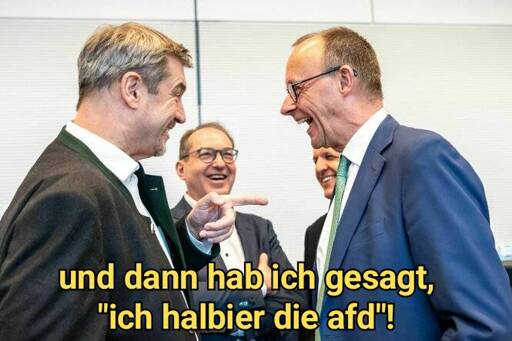 "Und dann hab ich gesagt, ich halbier die Afd", Söder, Merz, Dobrint, Frei lachen