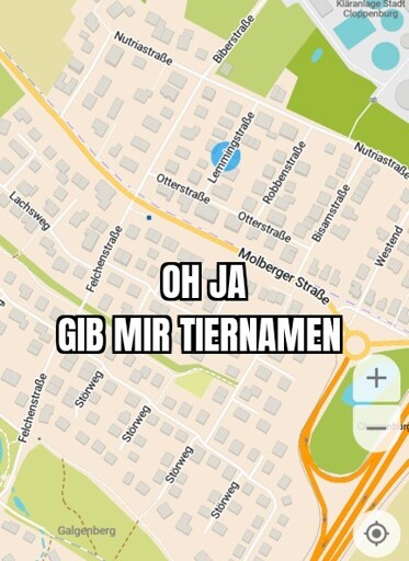 Screenshot einer Straßenkarte eines Wohngebiets in Cloppenburg aus CoMaps. Die Straßen Lemmingstraße, Nutriweg, Biberstraße, Bisamstraße, Robbenstraße, Lachsweg und Störweg sind sichtbar. Darauf der Text: Oh ja, gib mir Tiernamen