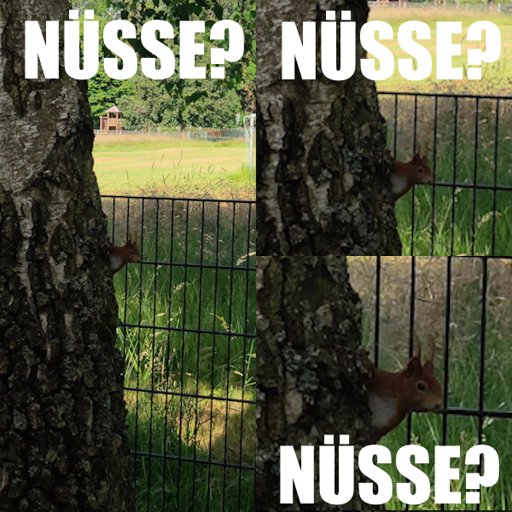 Nüsse?