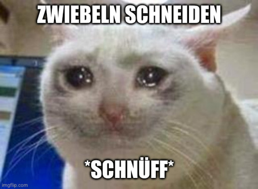 Katze weint - "Zwiebeln schneiden *schnüff*"