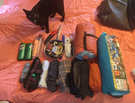 A very vocal black cat protests the obvious ommission of himself from my packing list.  Written by a real, breathing human on the company dime ;p