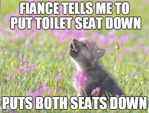 Baby Insanity Wolf meme. A wolf cub sin a grassy green field dotted with purple wildflowers, letting out a tiny howl. Text reading "FIANCE TELLS ME TO PUT TOILET SEAT DOWN" at the top, and "PUTS BOTH SEATS DOWN" at the bottom. 