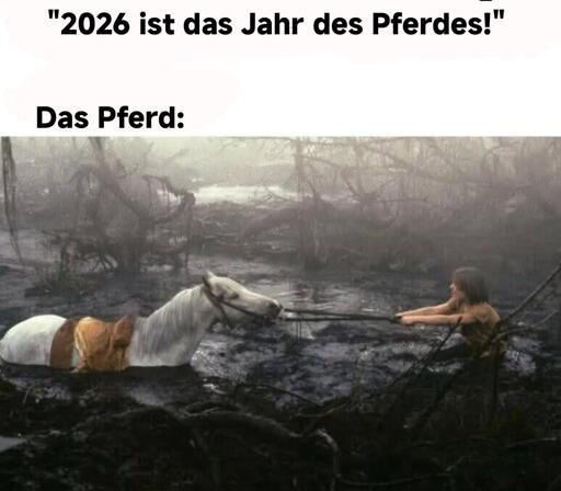 Oben: 2026 ist das Jahr des Pferdes
Das Pferd:
Da drunter ein Bild aus einer Szene von "Die unendliche Geschichte" wo Atréju versucht Atrax aus dem Sumpf der Traurigkeit zu ziehen, es aber nicht schafft und das Pferd weiter versinkt