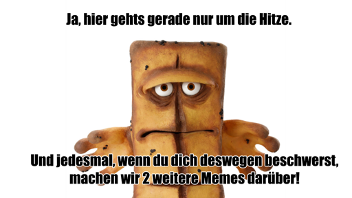 Bernd das Brot "Ja, hier gehts gerade nur um die Hitze. Und jedesmal wenn du dich deswegen beschwerst, machen wir noch 2 Memes darüber!"