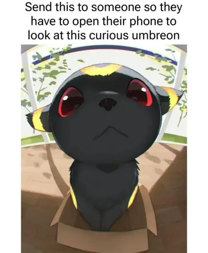 Send this to someone so they have to open their phone to look at this curious umbreon

Picture of the pokemln umbreon sitting in a box on some porch staring into the camera
